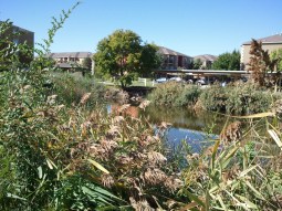 The Jordan River, West Valley City